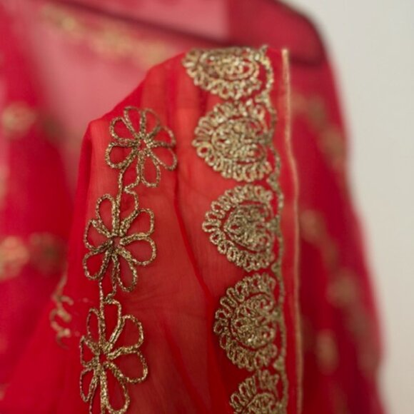 Pakistani/Indian Outfit - Picture 2 of 6